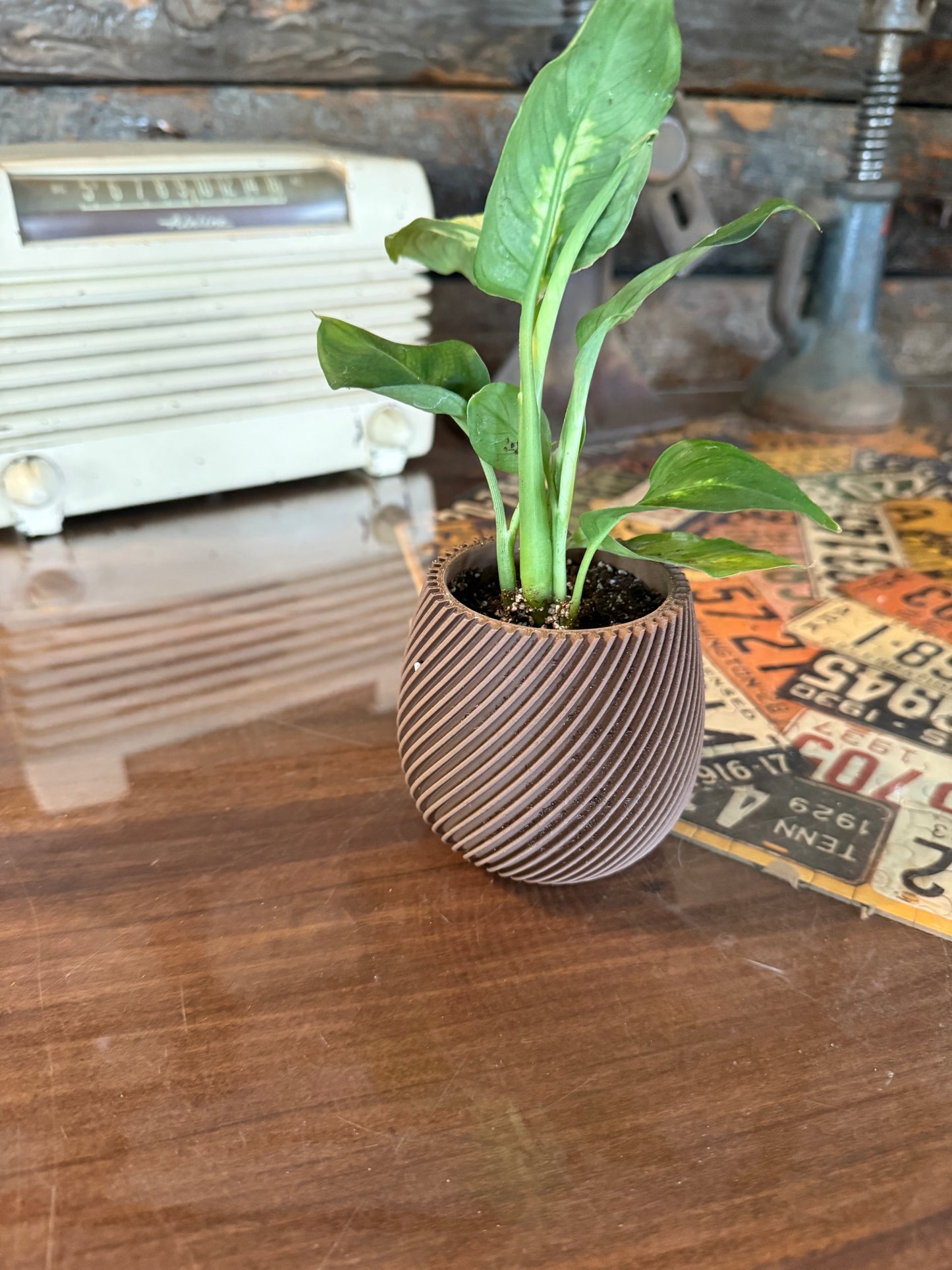 3D Printed Spiral Planter – Modern Mini Plant Pot for Succulents
