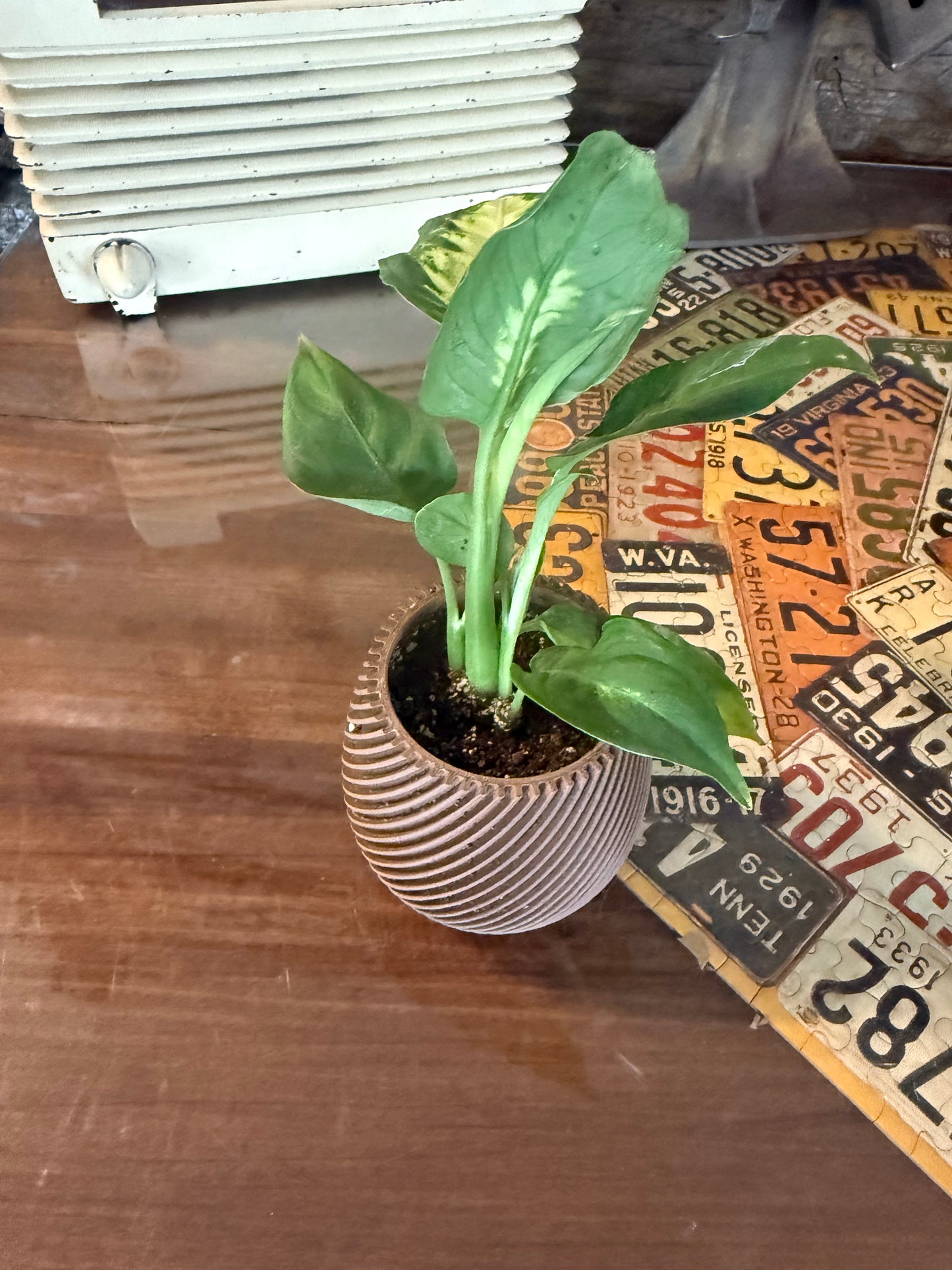 3D Printed Spiral Planter – Modern Mini Plant Pot for Succulents
